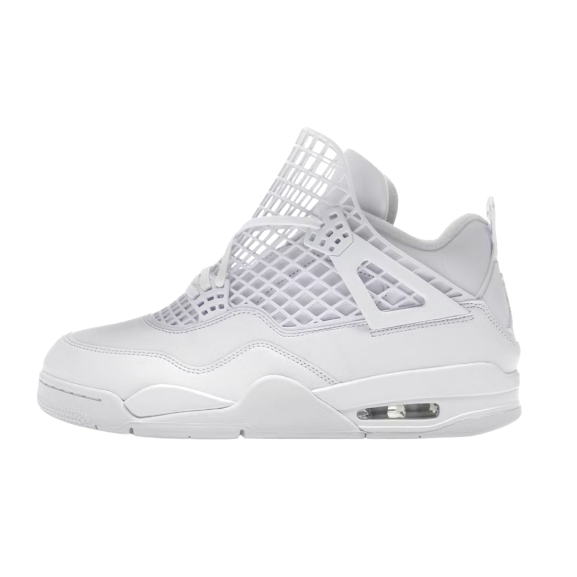 Onesizestore Jordan 4 Retro Net (W) FN7251 107