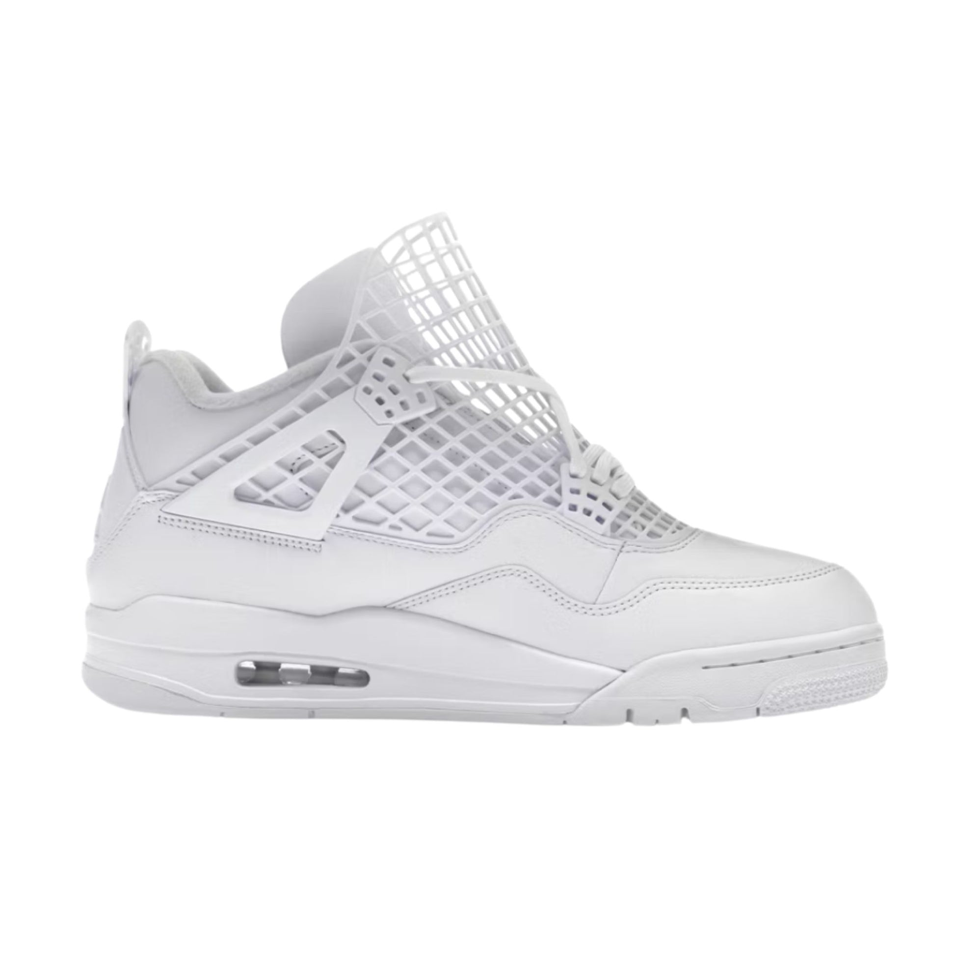 Onesizestore Jordan 4 Retro Net (W) FN7251 107