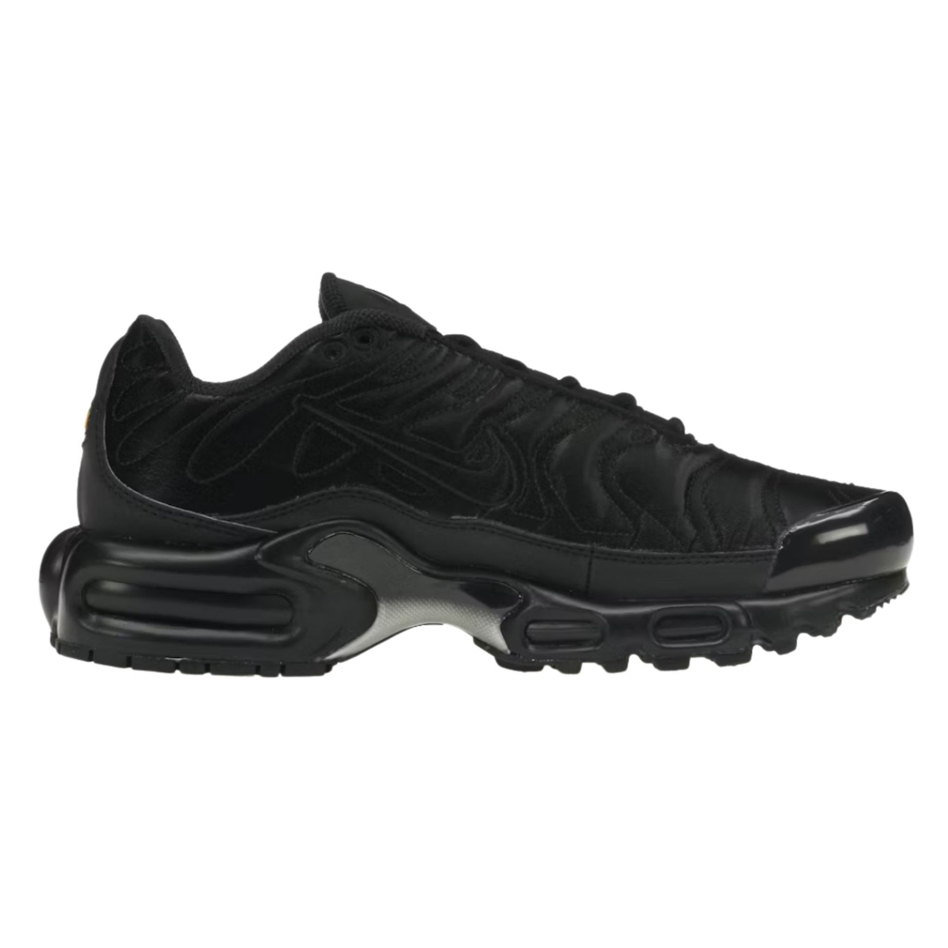 Onesizestore Nike Air Max Plus FV1169 001