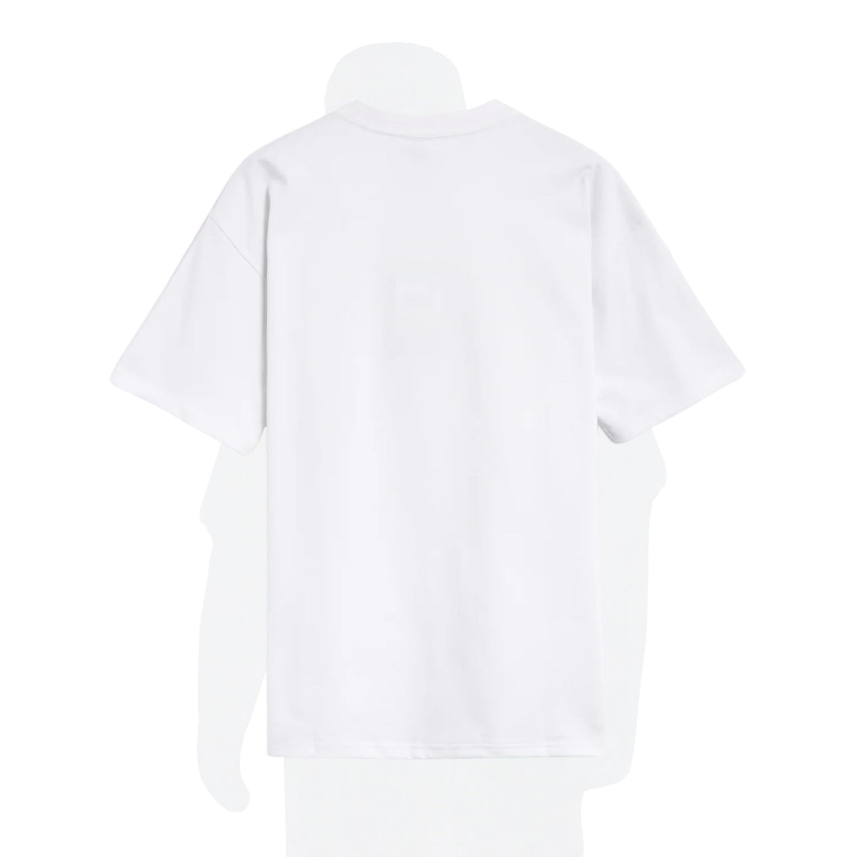 Onesizestore Nike ACG DF Iguana Men's T-Shirt Men's T-Shirt HJ0889 121