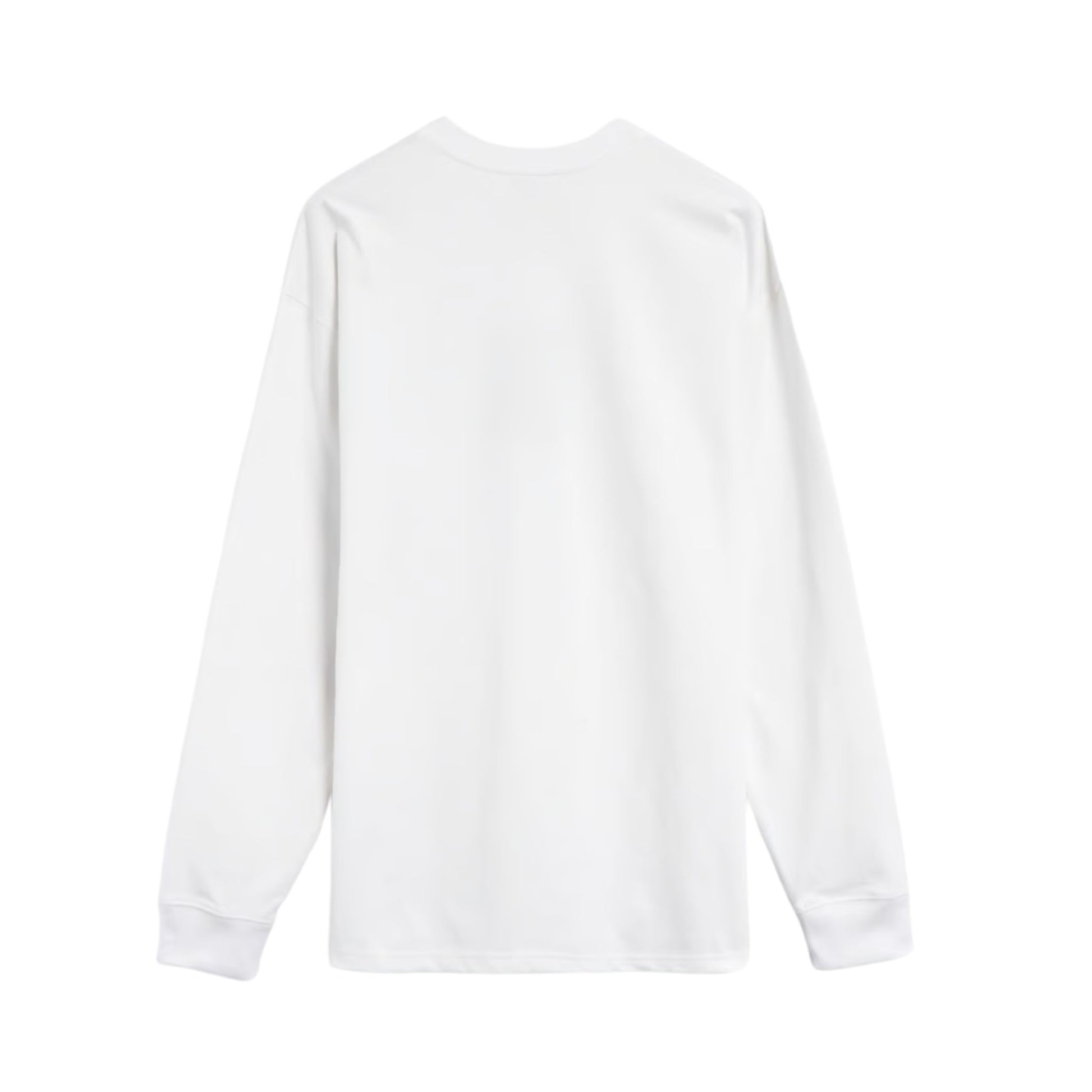 Onesizestore Nike ACG "Lungs" Men's Long Sleeve T-Shirt DR7753 124