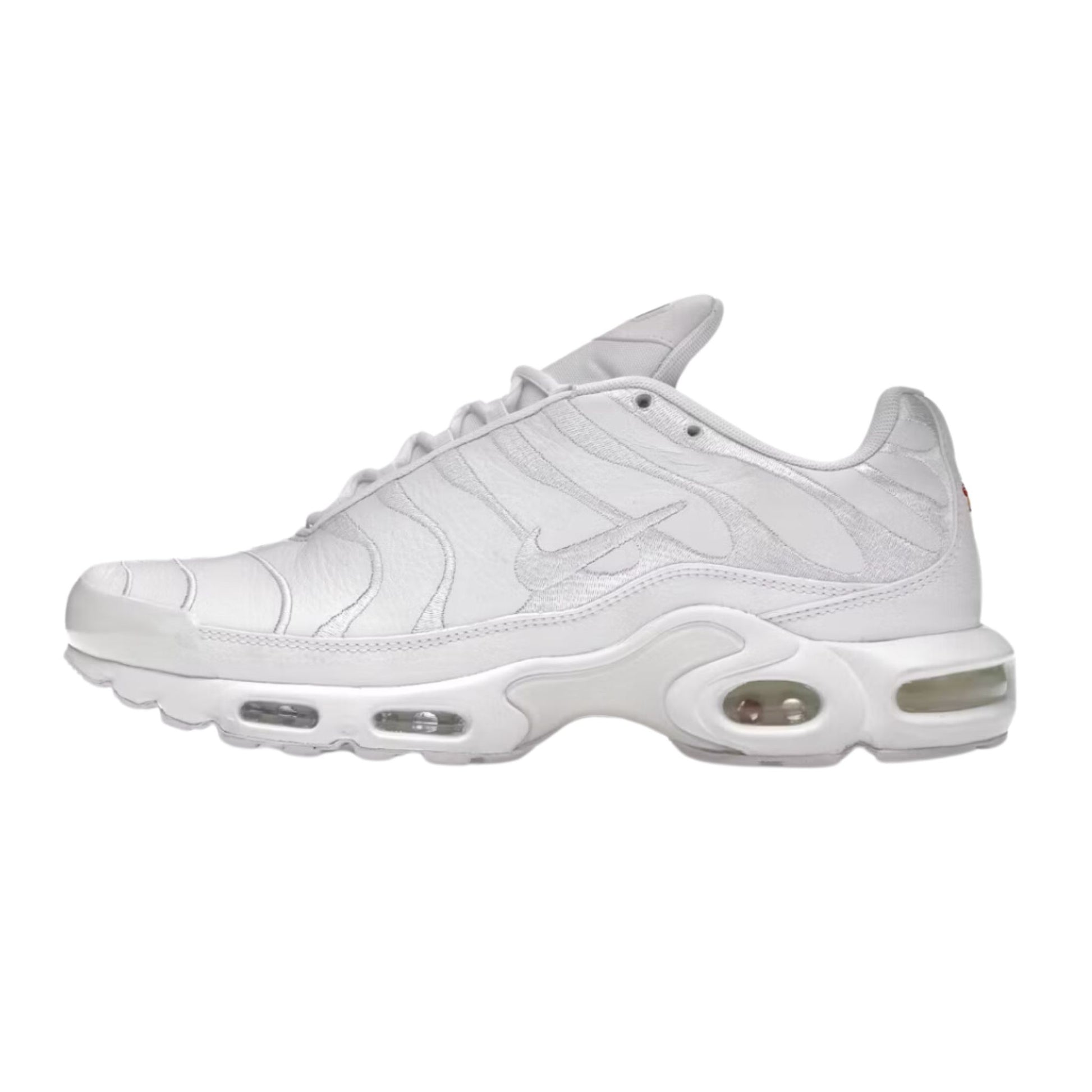 Onesizestore Nike Air Max Plus AJ2029 100