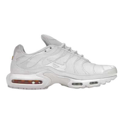 Onesizestore Nike Air Max Plus AJ2029 100