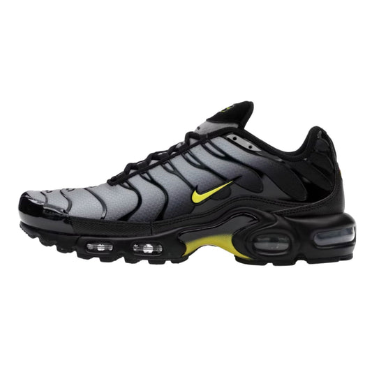 Onesizestore Nike Air Max Plus DM0032 012