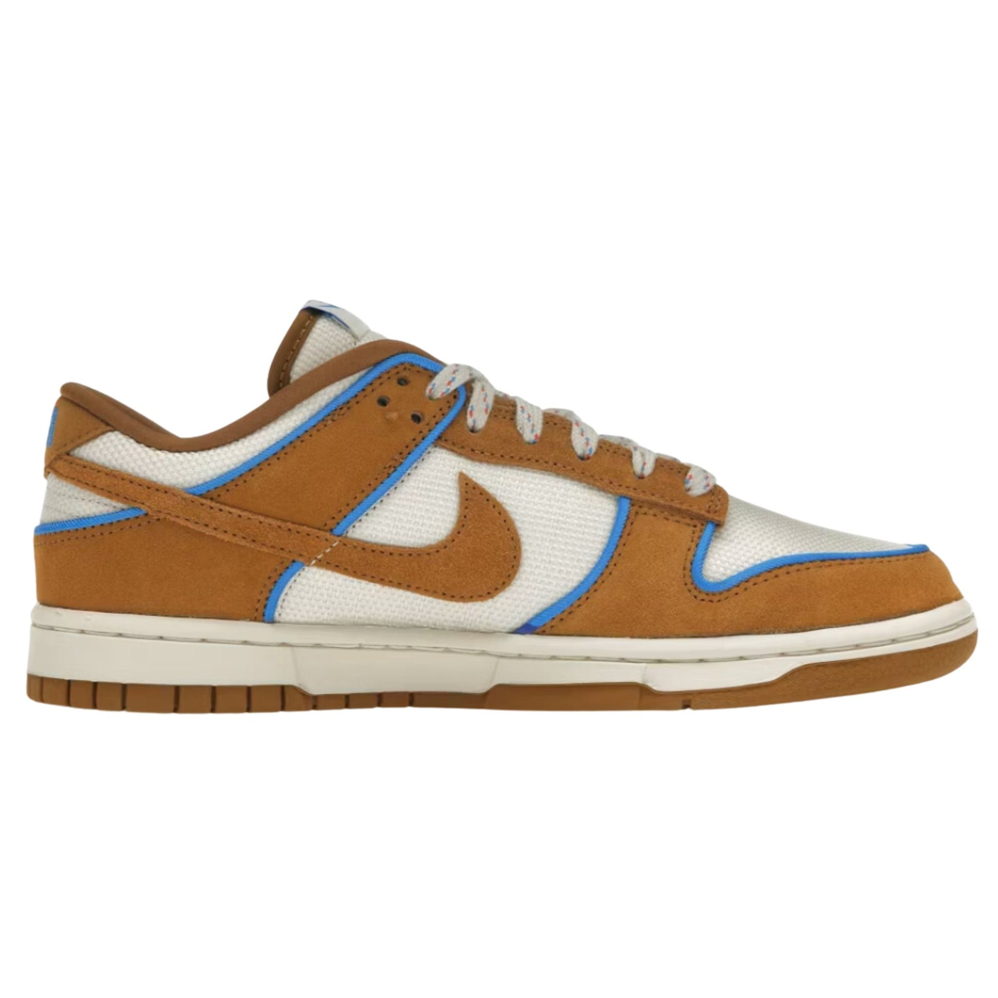 Onesizestore Nike Dunk Low Retro Premium FN5825 100